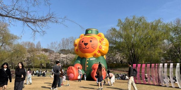 ヤンジェアートサロン