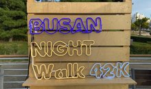 Busan Night Walk: My 42K Experience