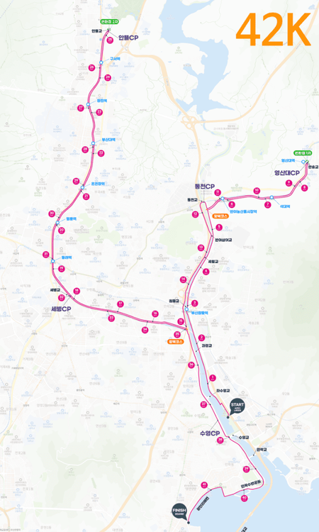 busan-night-walk-42k-2024-route