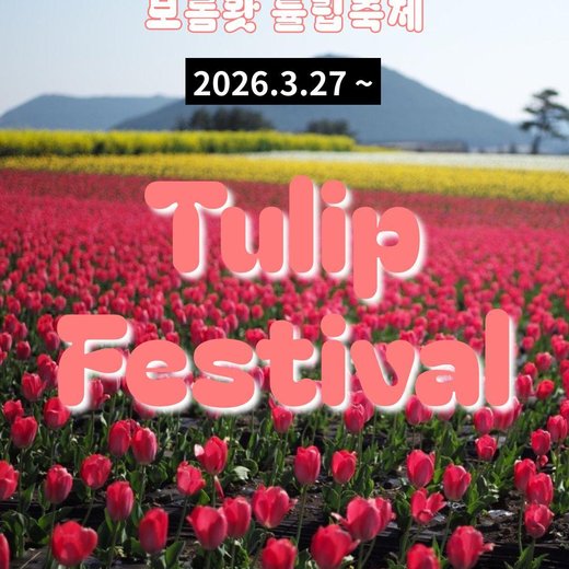 보롬왓 튤립 축제