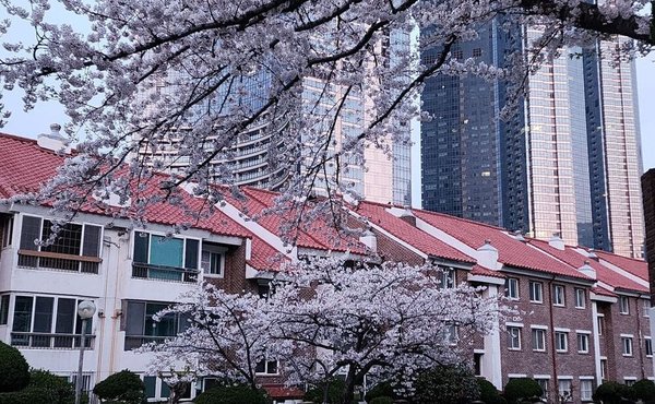 An Expat's Reflection on Finding Home Away From Home