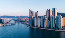 Thời Điểm Tốt Nhất Để Đến Busan: Hướng Dẫn Theo Từng Tháng